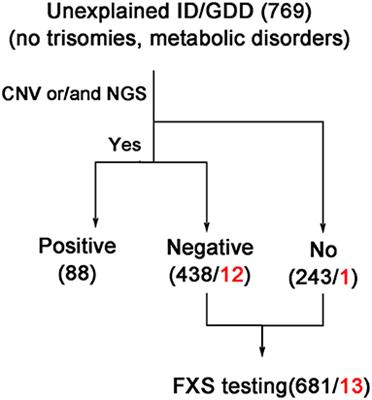 The second-tier status of fragile X syndrome testing for unexplained intellectual disability/global developmental delay in the era of next-generation sequencing